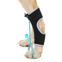 GoGoPaw Attelle flexion-doigts pour chien noir moyenne, soutien sûr pour les doigts.