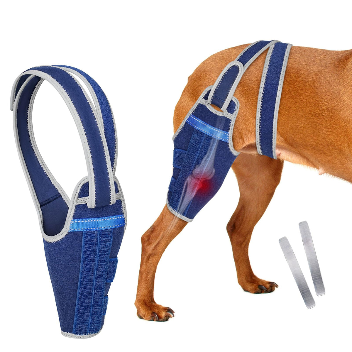 GoGoPaw attelle genou chien bleu gauche 2XL pour un soutien stable lors des promenades