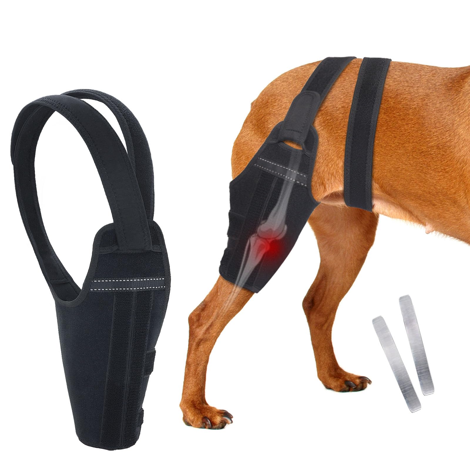 GoGoPaw attelle genou chien droit, soutien durable pour mobilité