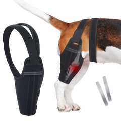 Attelle GoGoPaw pour genou droit, stabilisation du LCA et réduction de la douleur.