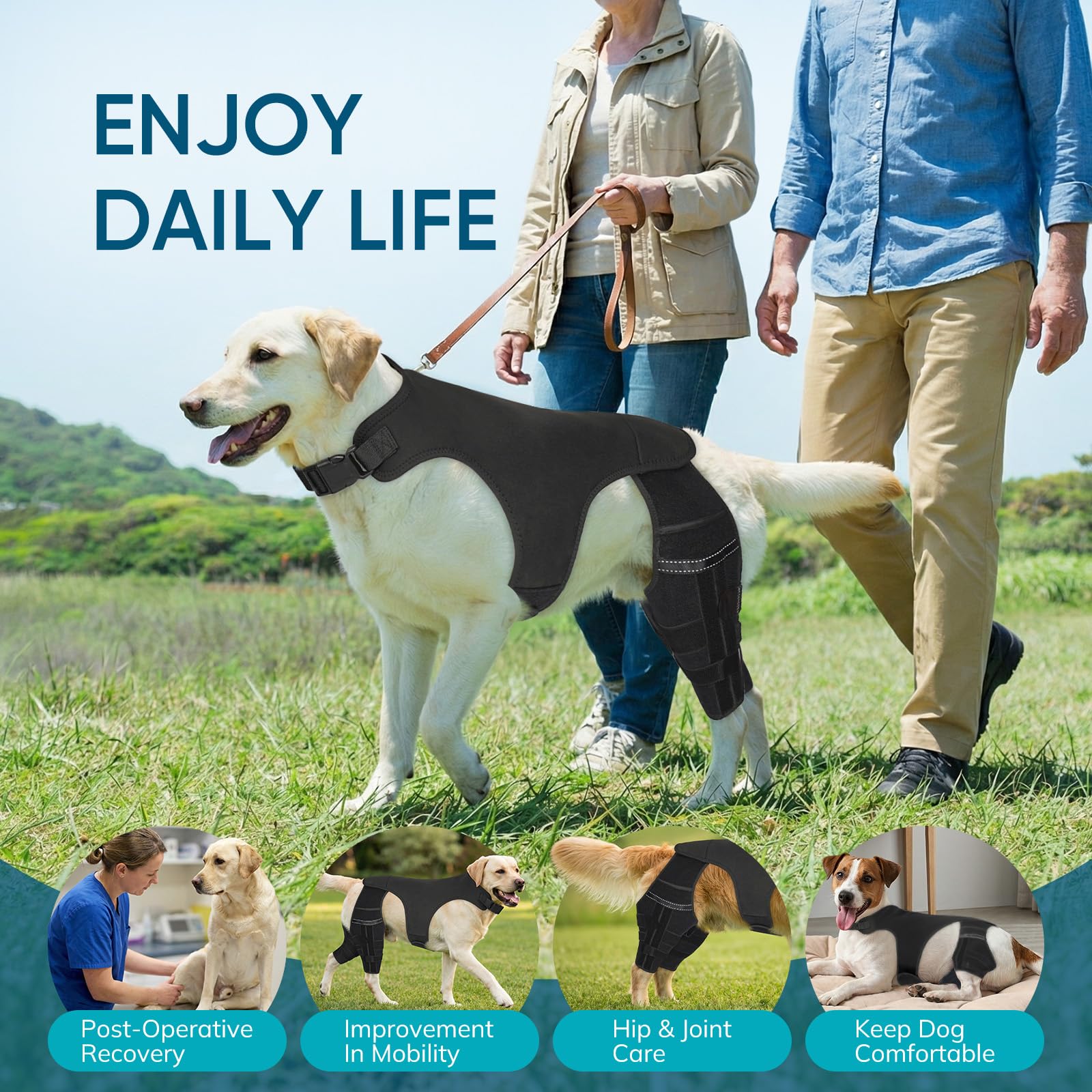 GoGoPaw attelle genou chien tailles multiples pour ajustement