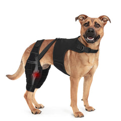 GoGoPaw Attelle genou chien double-support: stabilité accrue pour chaque pas.
