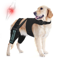 GoGoPaw attelle genou chien reglage personnalisé pour un soutien ajusté.
