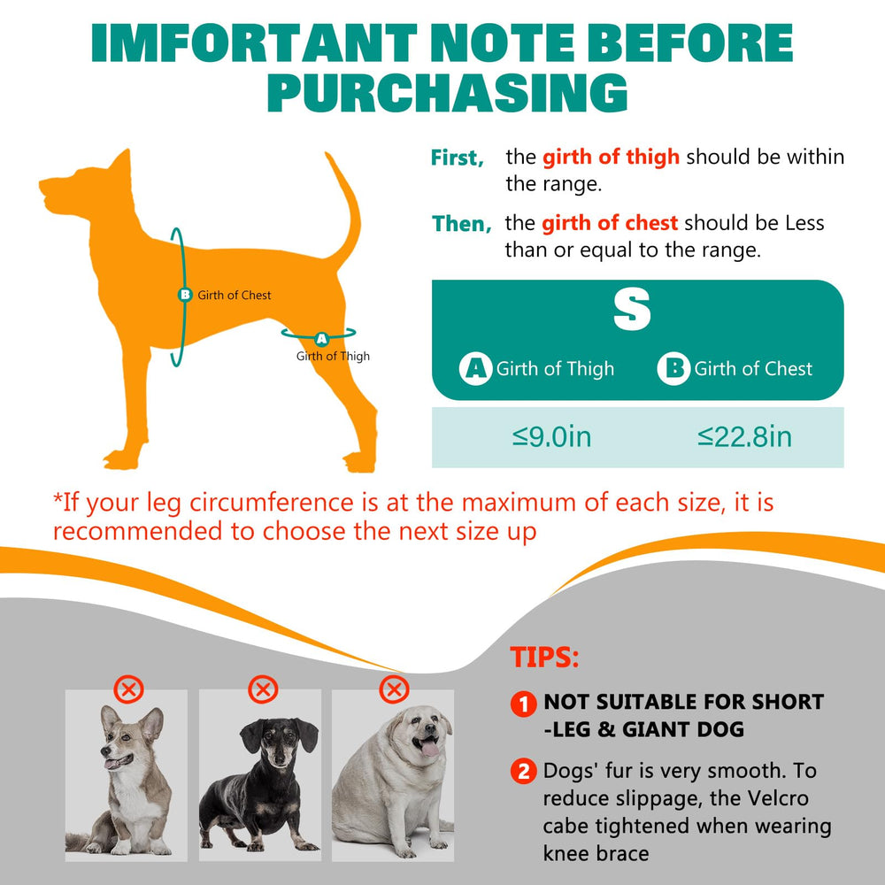 GoGoPaw Attelle genou chien-reglages-longues: ajustement personnalisé pour toutes tailles.