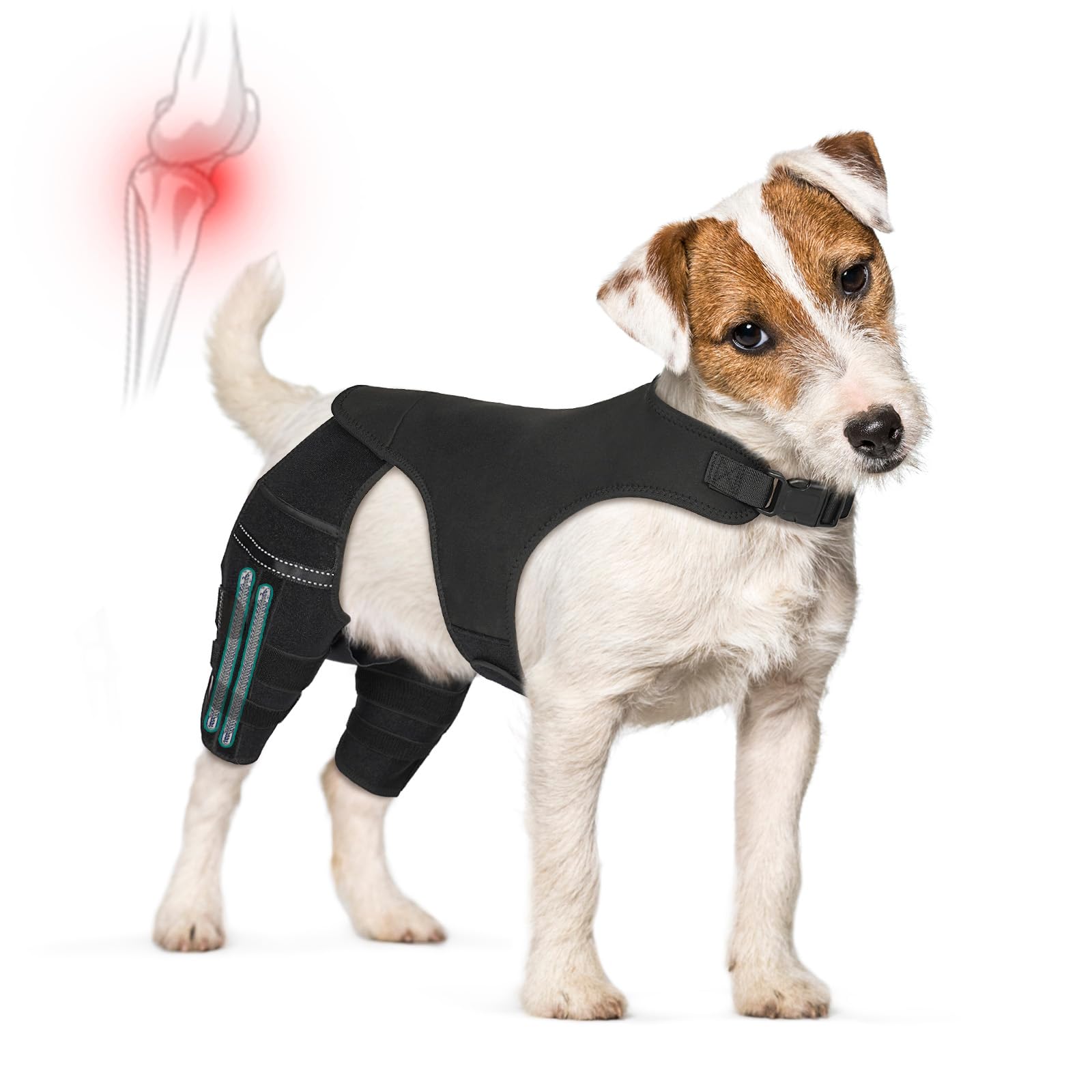 GoGoPaw orthèse genou arrière reglable offrant un soutien lors des promenades.