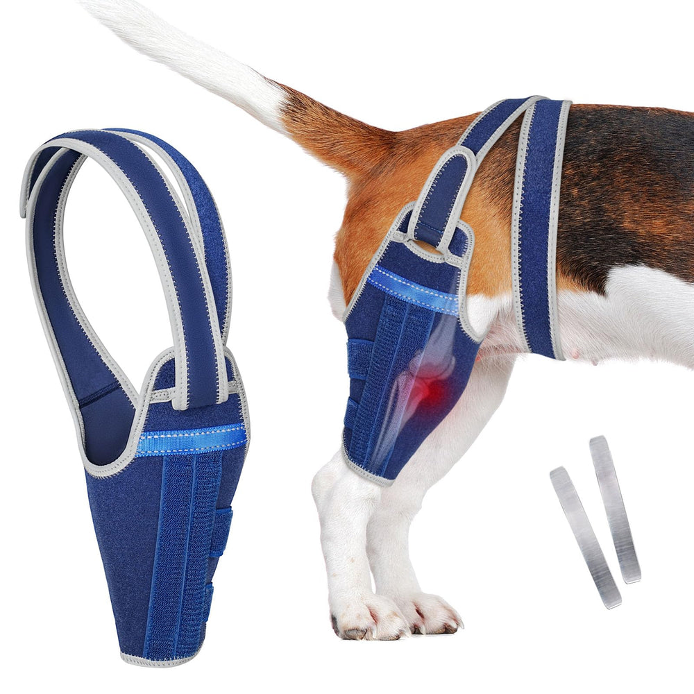 GoGoPaw Genouillère pour chien avec stabilisateurs pour stabilité articulaire.
