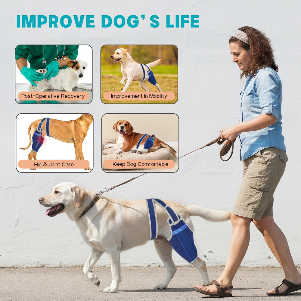GoGoPaw attelle genou chien – sécurité douce et confort.