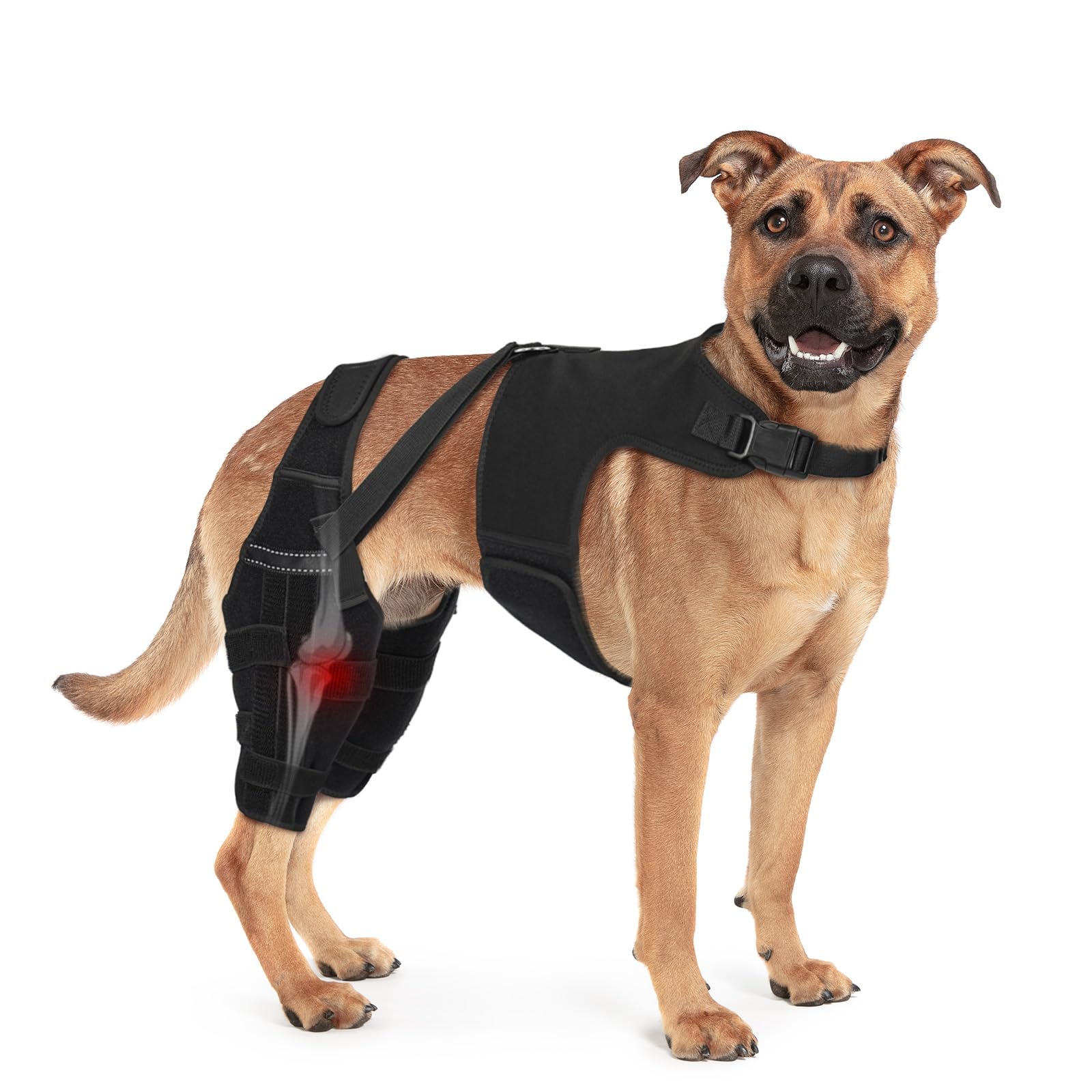 GoGoPaw genou chien double-soutien triangle pour stabilité articulaire