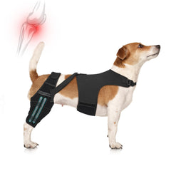GoGoPaw genouillère chien stabilisation triangle harnais pour récupération