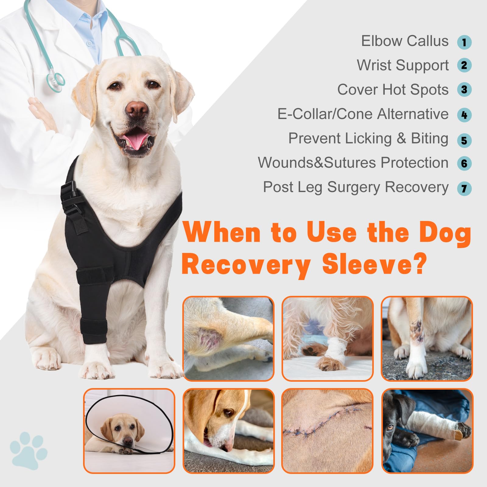 GoGoPaw guides-tailles-chien-coude: guide des tailles pour un ajustement précis.