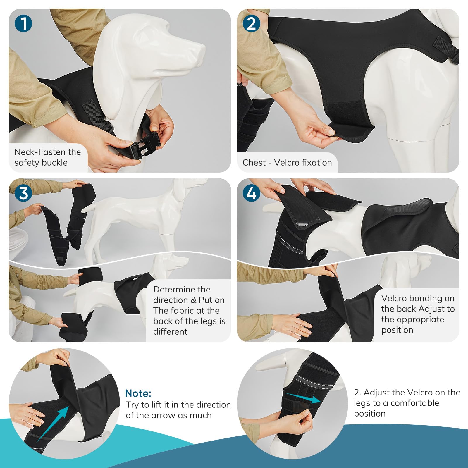 GoGoPaw harnais connecteur torse: stabilite accrue pendant promenades