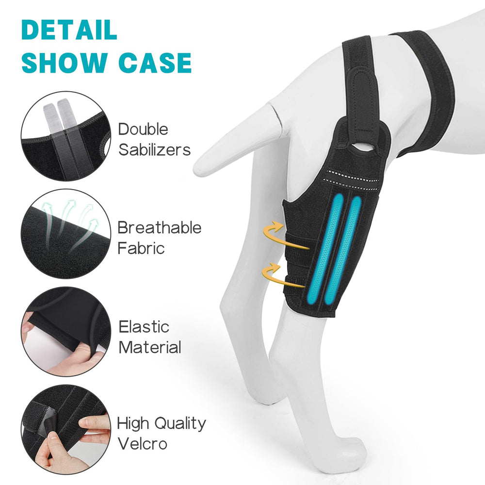 GoGoPaw orthèse genou chien, aide potentielle lors de rééducation et promenades.