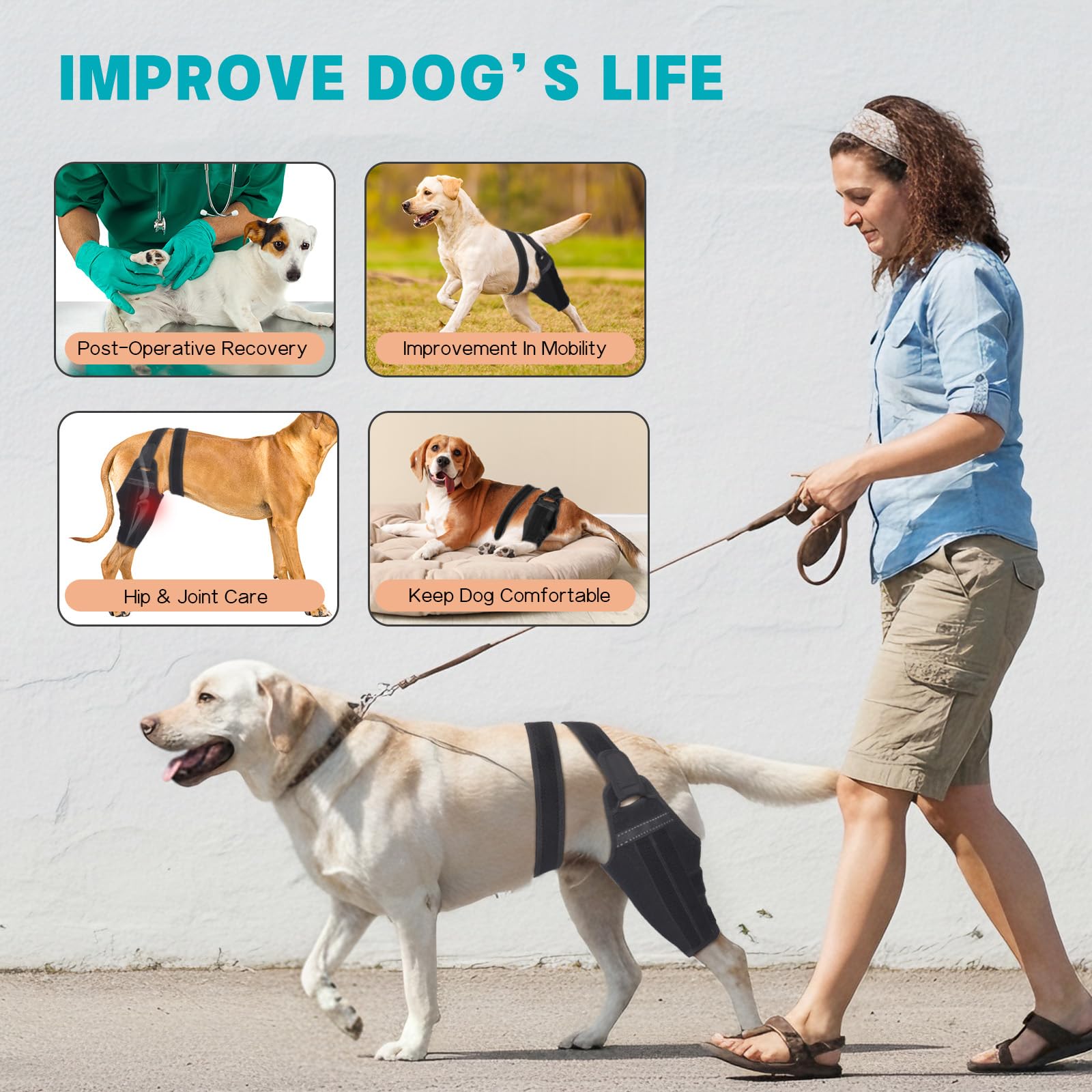 GoGoPaw orthèse genou chien utilisation tutoriel vidéo : guide rapide pour installation et réglage.