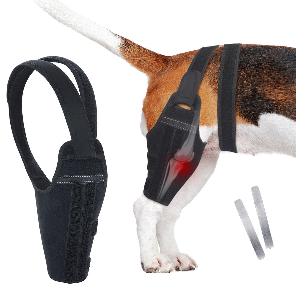 GoGoPaw orthèse genou chien patte arrière gauche : soutien ciblé pour mobilité quotidienne.