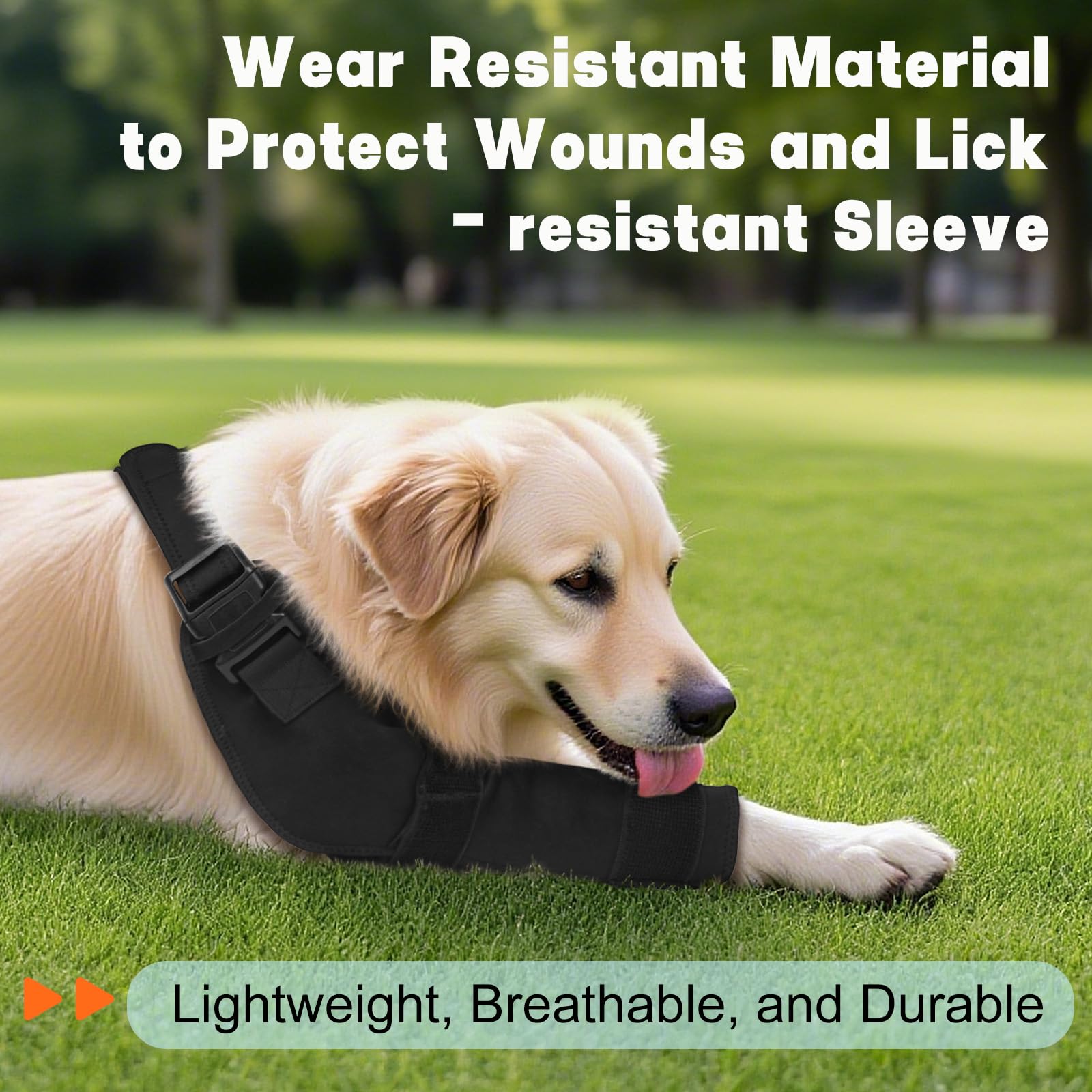 GoGoPaw protection-coude-chien avant droit XL: protection efficace et ajustement sûr.
