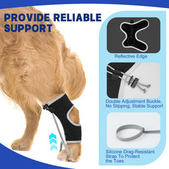 GoGoPaw Sangles silicone deux tailles, ajustement sûr et confortable.