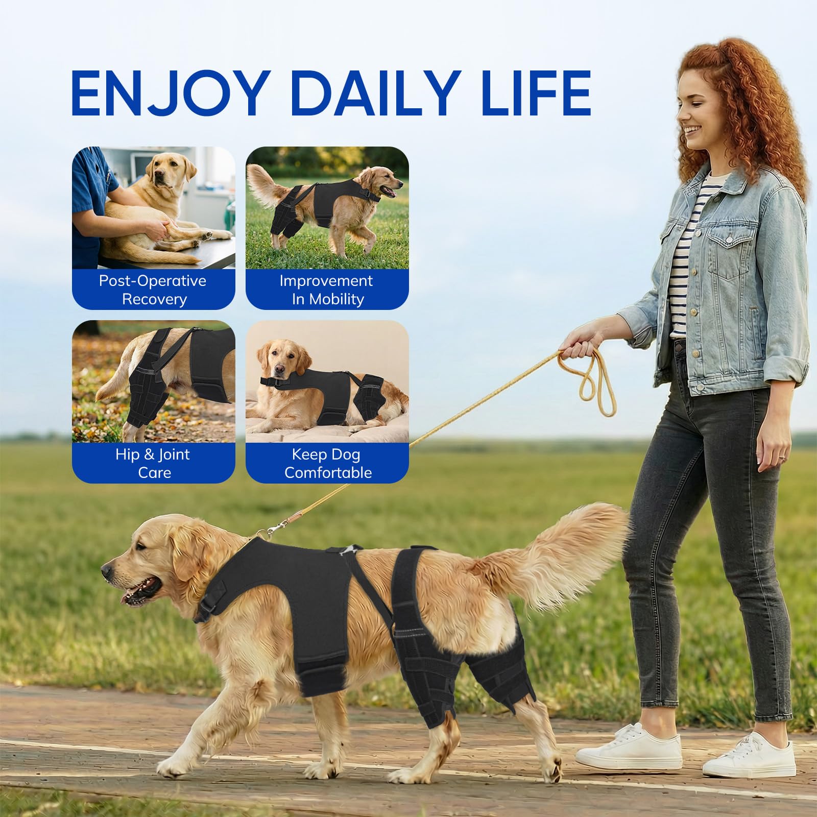 GoGoPaw soutien mobilité chien lors de l’utilisation quotidienne.