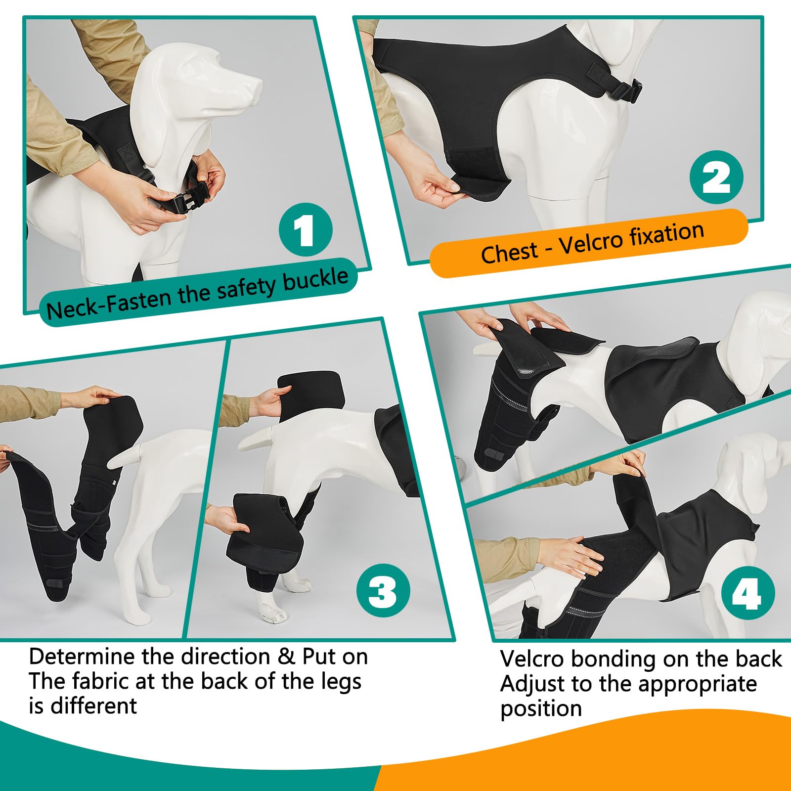 GoGoPaw usage quotidien facilitant promenades et repos actif.