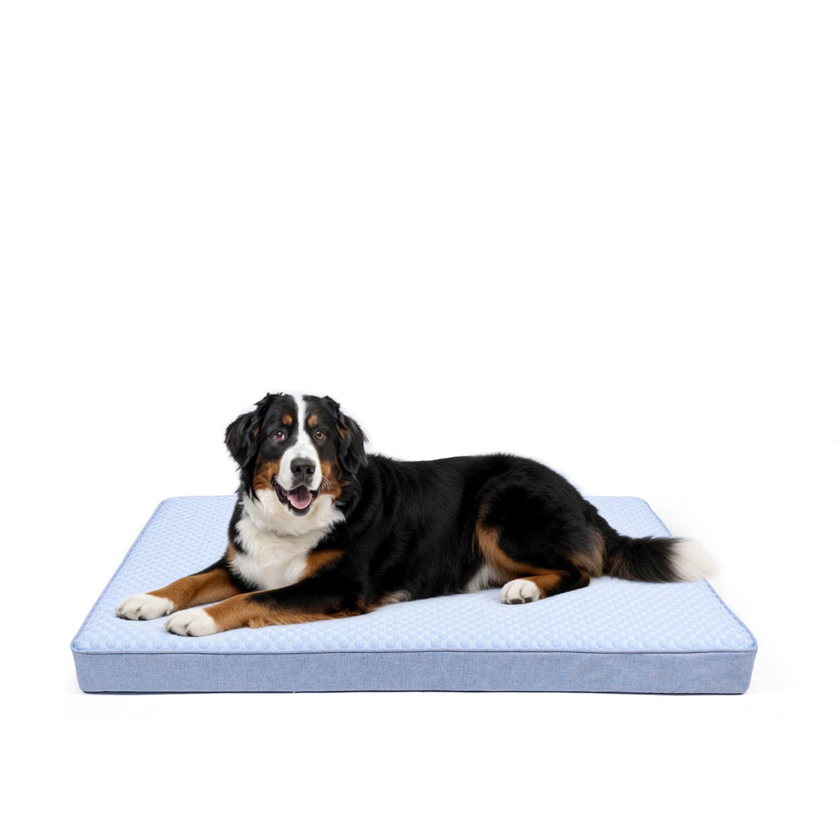 Lit GOHOO PET XXL refroidissant, vue d'ensemble pour grands chiens actifs.