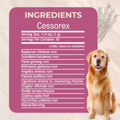 Gold Standard Herbs Cessorex – emballage clair et étiquette lisible pour suivre le dosage.
