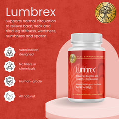 Dose prête à saupoudrer sur nourriture pour mobilité canine avec Lumbrex.