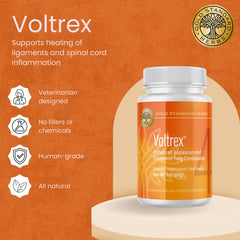 Voltrex étiquette sur le flacon indiquant une formule naturelle pour chiens.