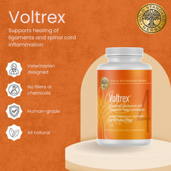 Voltrex poudre: texture fine facilitant l'administration et le soutien des articulations.