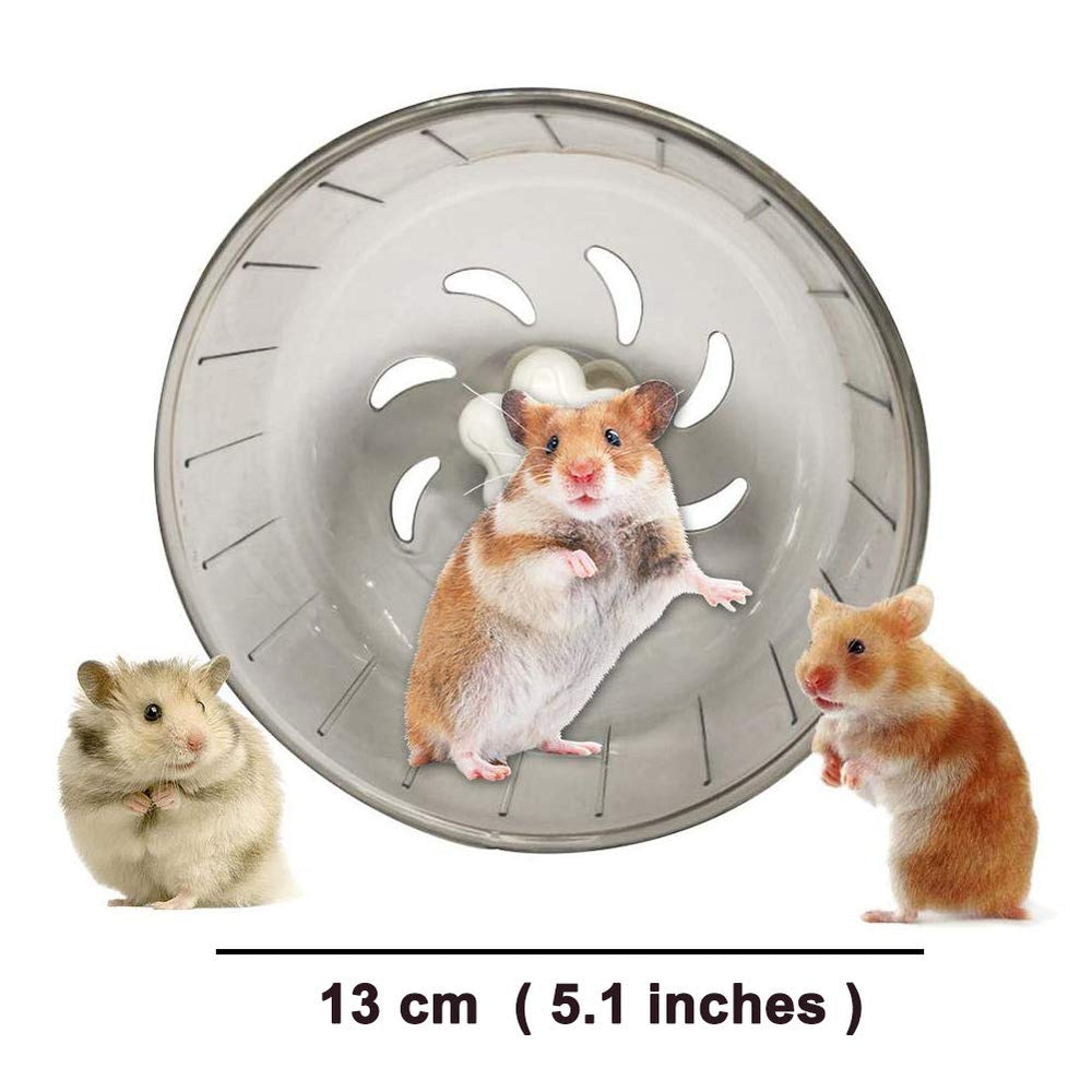 Roue GOLDEAL de 5,1 pouces destinée aux petits rongeurs pour un exercice pratique.