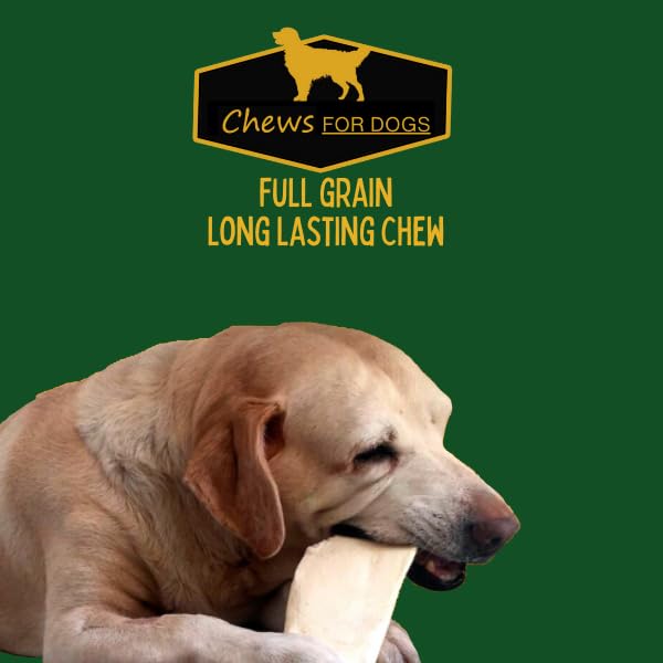 GOLDEN Chews: chien satisfait profitant d'un goût naturel et croquant.