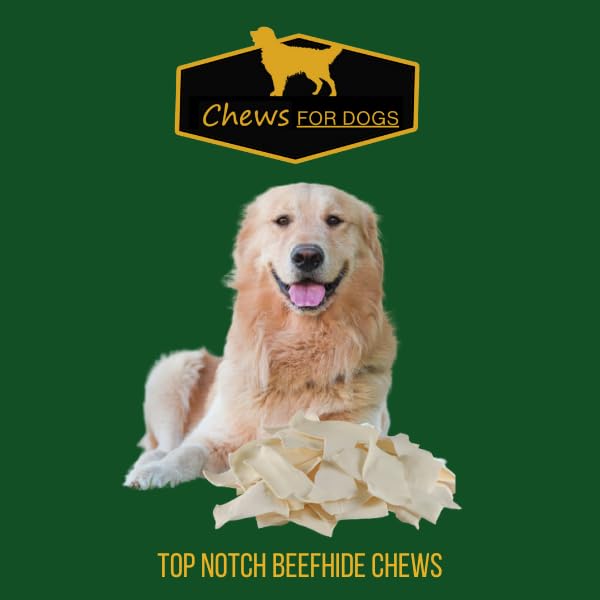 GOLDEN Chews – chien heureux savourant une friandise pendant le jeu.