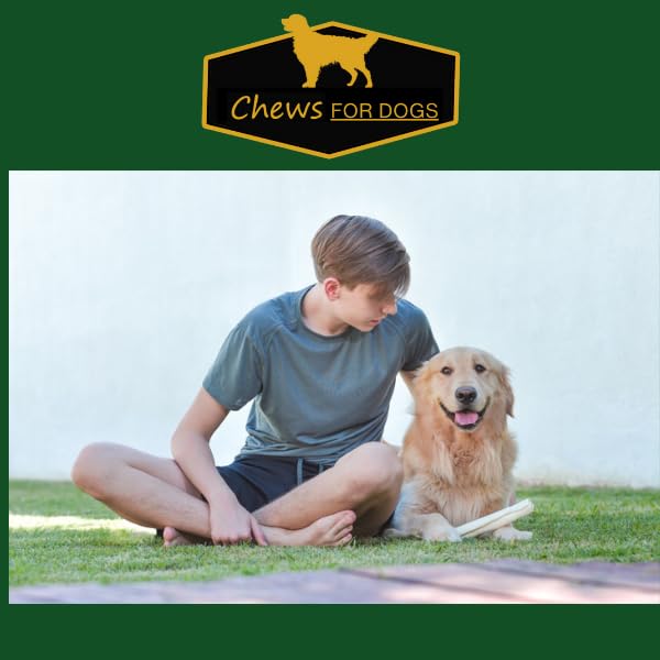 GOLDEN Chews, bouchée riche en collagène, potentiellement bénéfique pour articulations et pelage.