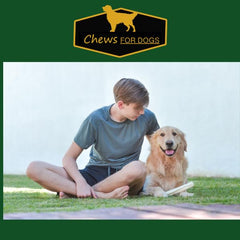 GOLDEN Chews favorise la dentition et peut réduire les mauvaises odeurs.