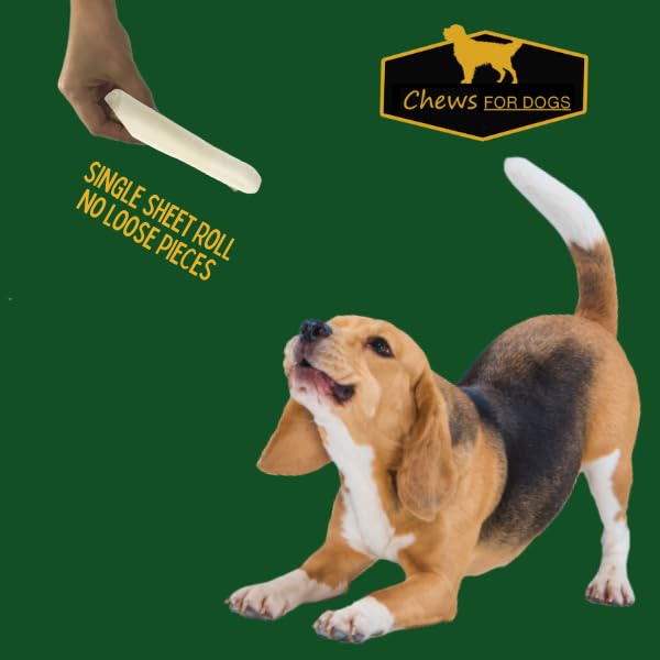 GOLDEN Chews, produit artisanal et naturel, couleur et densité variables selon le lot.