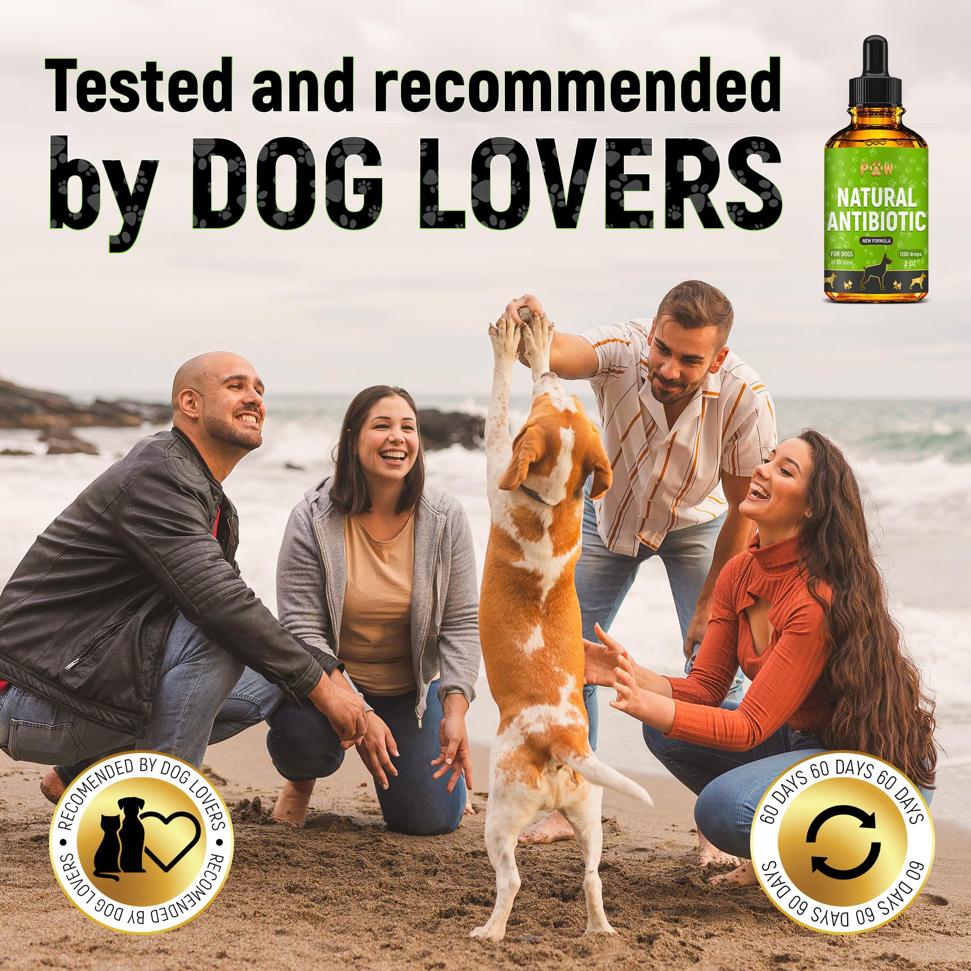Golden Paw bien-être canin, soutien nutritionnel et énergie globale