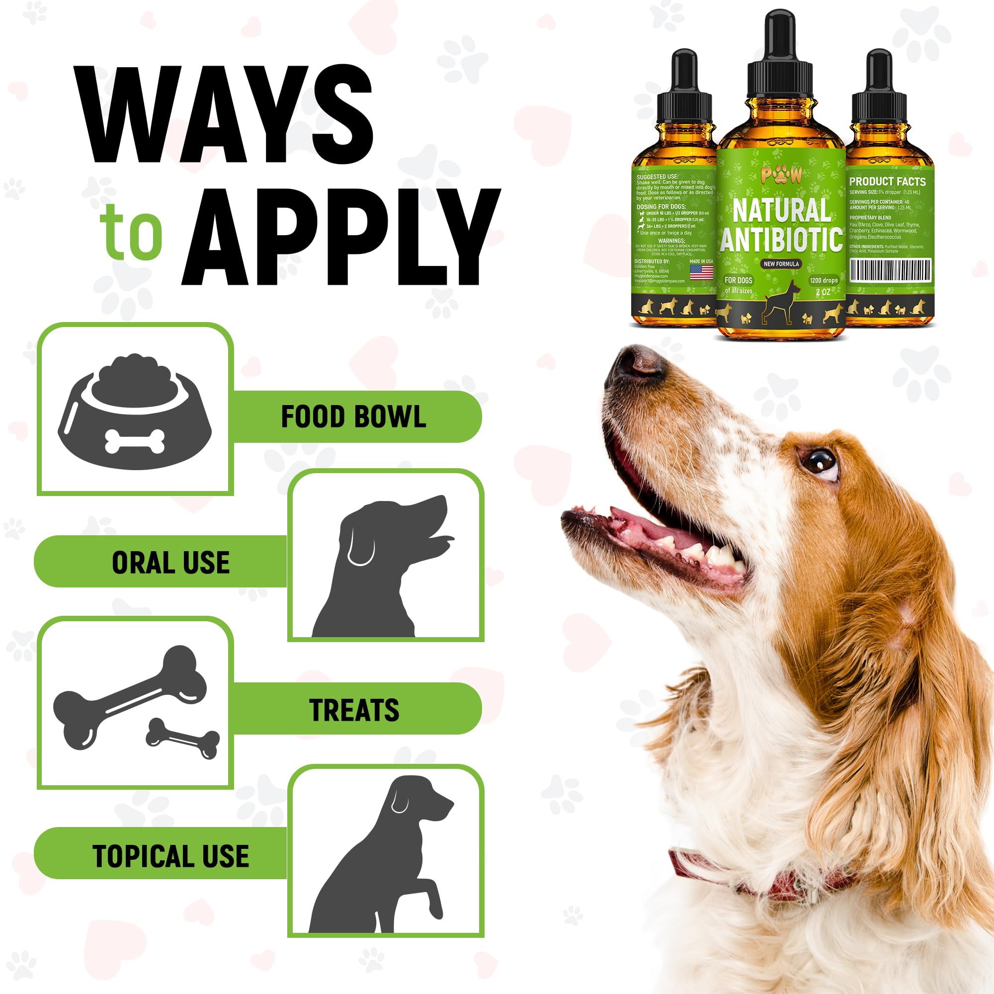 Golden Paw antibiotique chien convient au soutien des infections urinaires