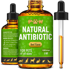 Golden Paw antibiotiques chiens — bouteille pratique pour administration facile.