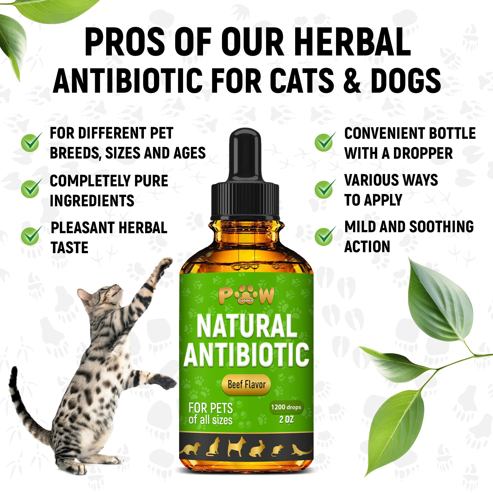Golden Paw antibiotiques — soutien potentiellement utile pour digestion et respiration.