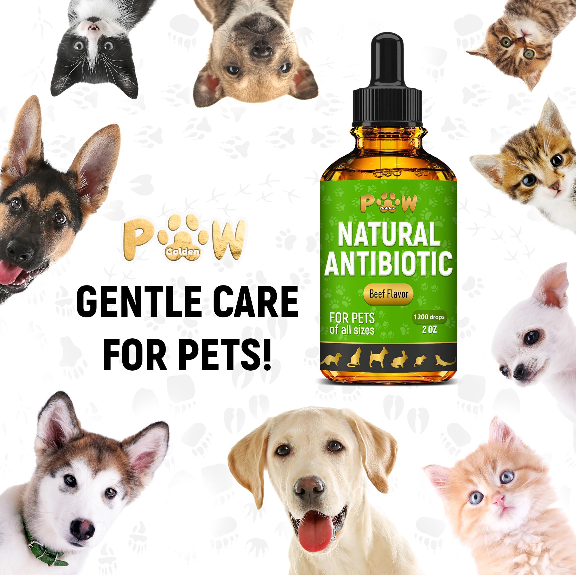 Emballage Golden Paw 2 oz — format pratique et facile à transporter.