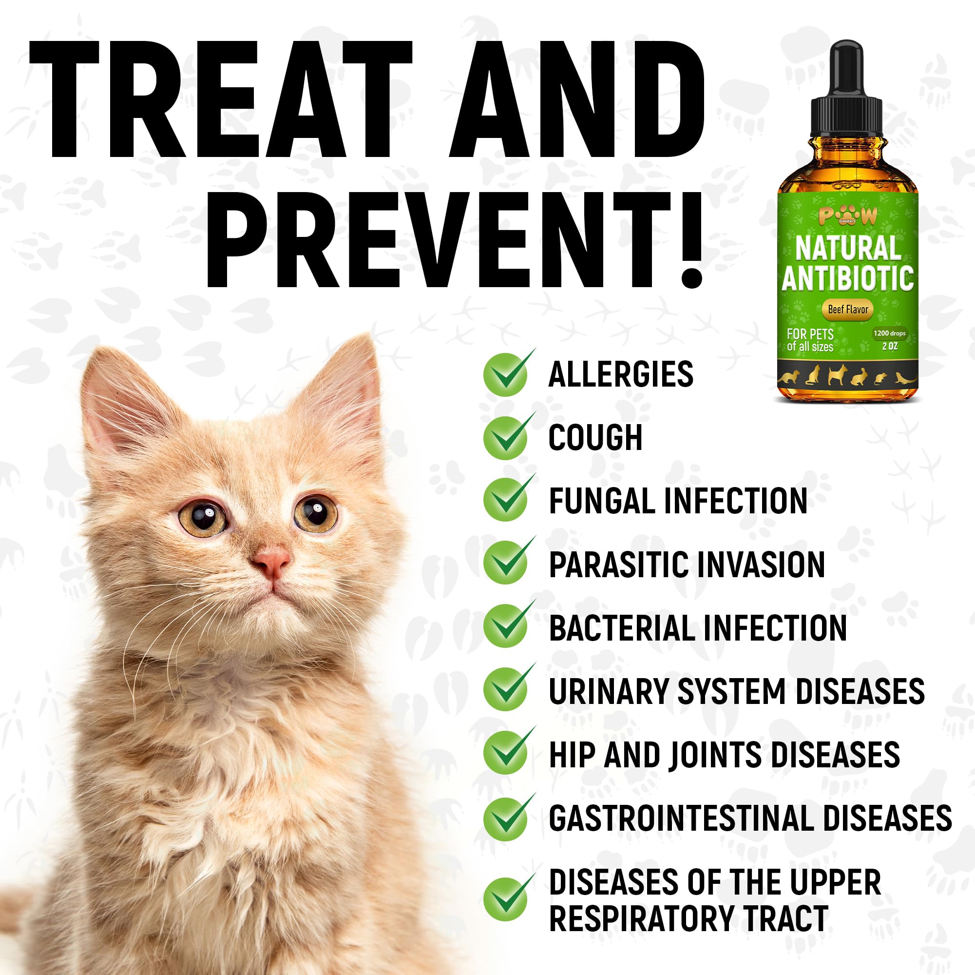 Golden Paw antibiotiques — adaptés à toutes les races et âges.
