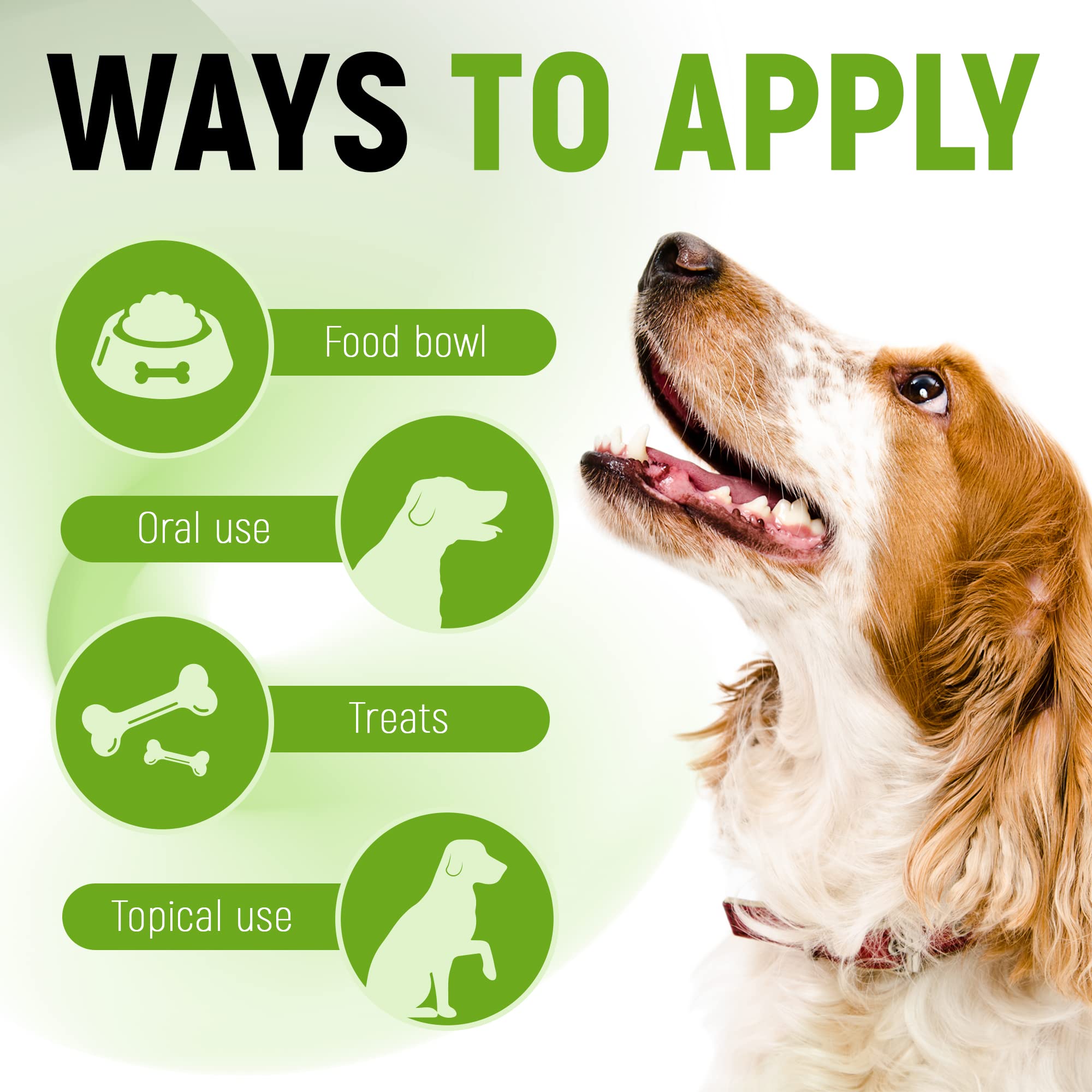 Golden Paw probiotiques liquides, 3 milliards CFU pour le soutien digestif.