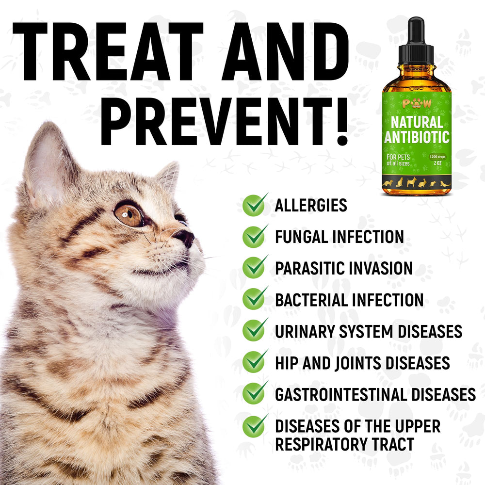 Golden Paw utilisation polyvalente pour toutes tailles et races.