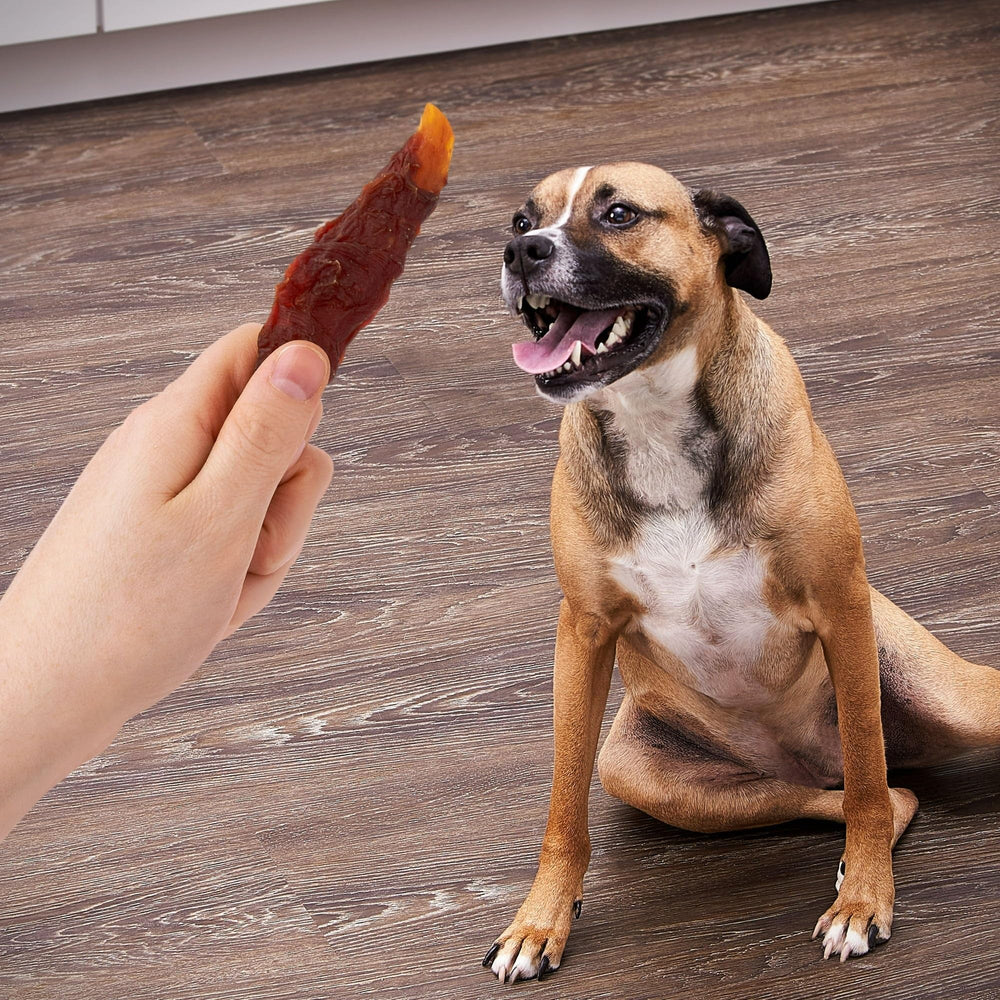 Golden Rewards: récompense savoureuse sans céréales adaptée à tous les chiens