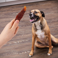 Golden Rewards: récompense savoureuse sans céréales adaptée à tous les chiens