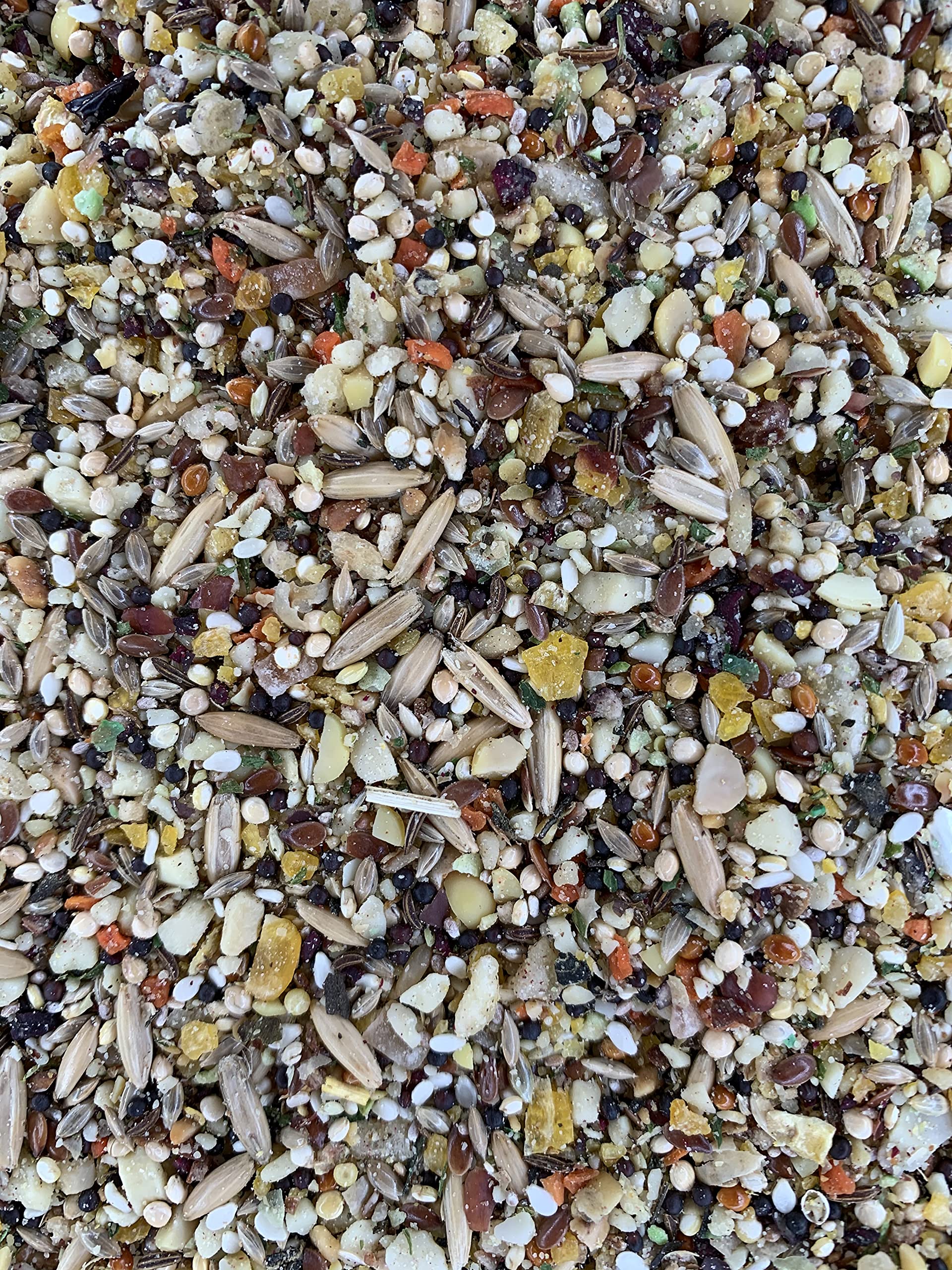 Goldenfeast VL Mélange Patagonien – ingrédients variés pour enrichir l’alimentation quotidienne