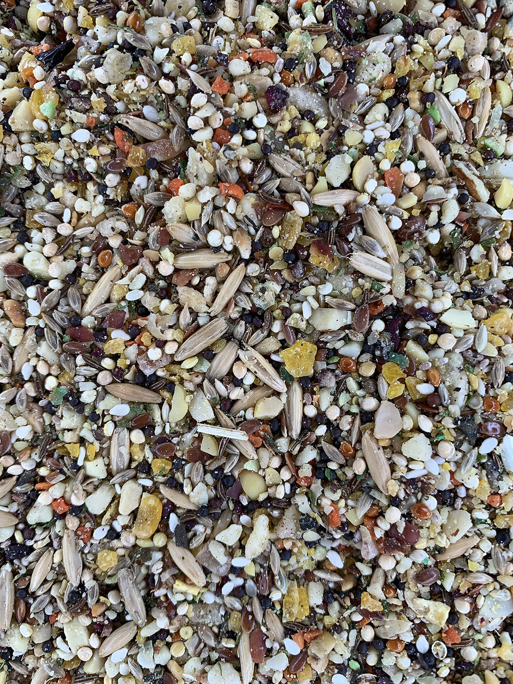 Goldenfeast VL Mélange Patagonien – ingrédients variés pour enrichir l’alimentation quotidienne