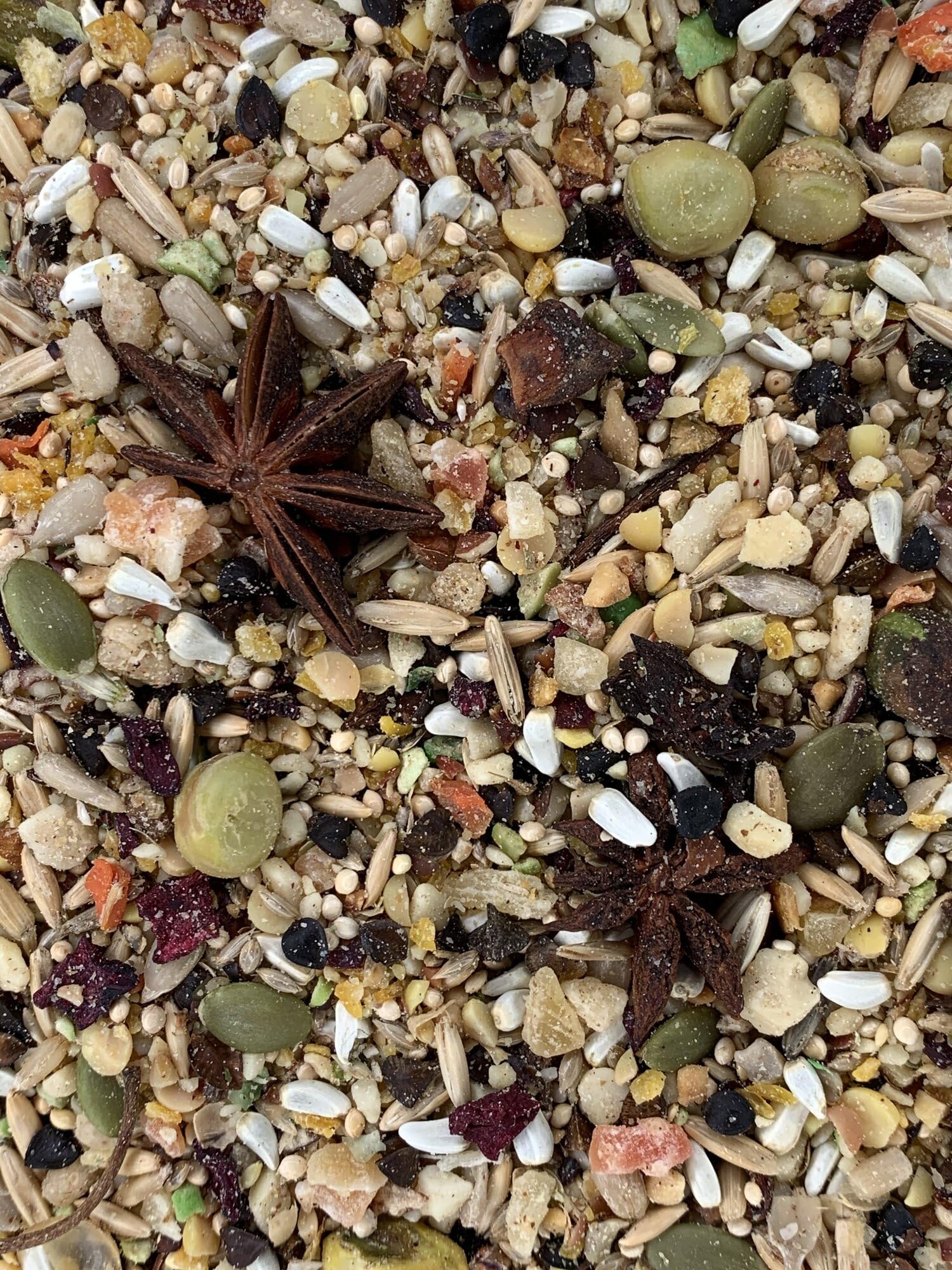 Goldenfeast VL Sud-Américain – alimentation naturelle sans colorants ni conservateurs ajoutés.