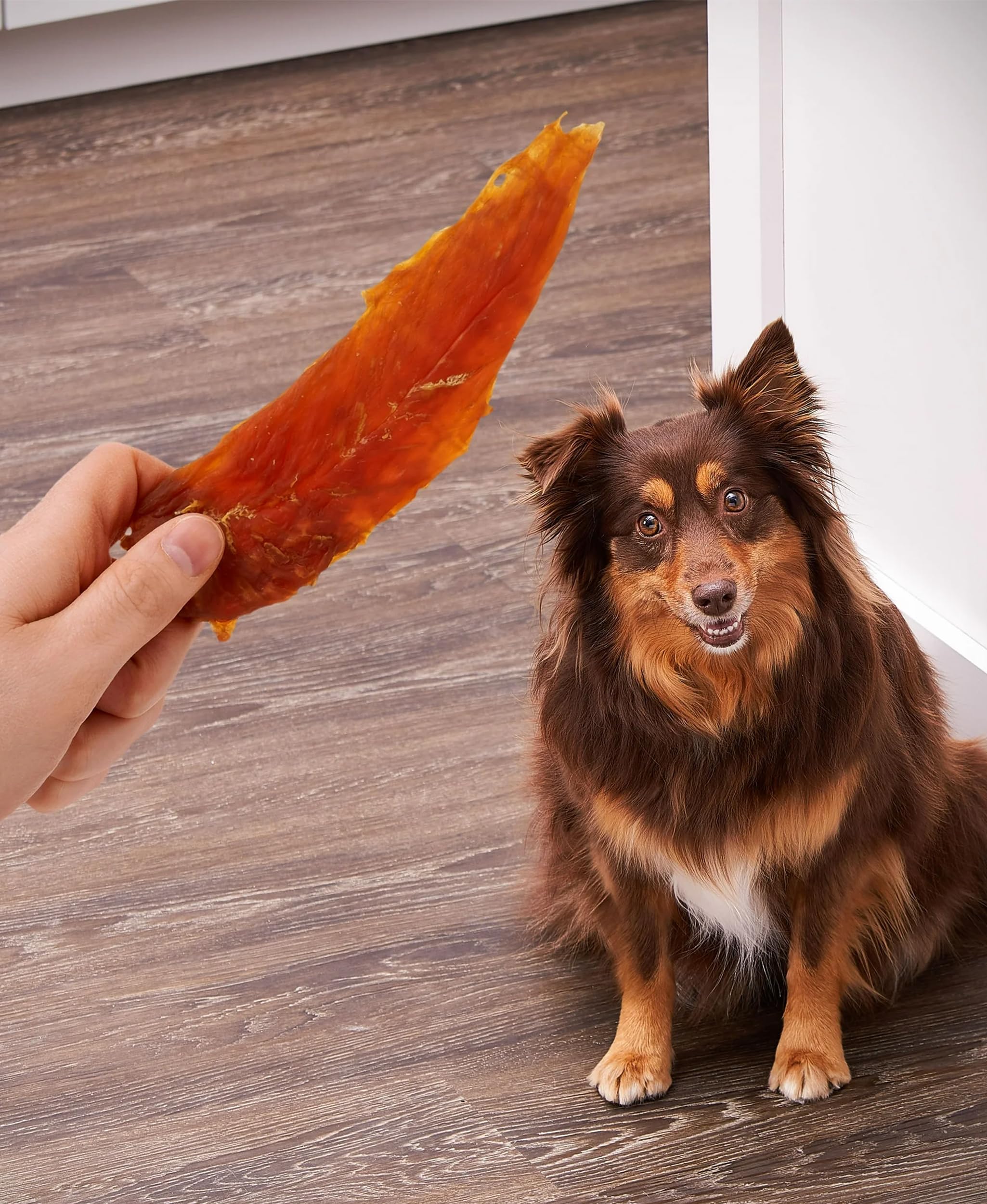 Golden|Rewards texture tendre: facile à mâcher pour tous les chiens