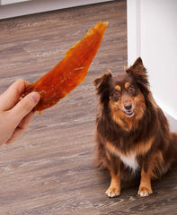 Golden|Rewards texture tendre: facile à mâcher pour tous les chiens