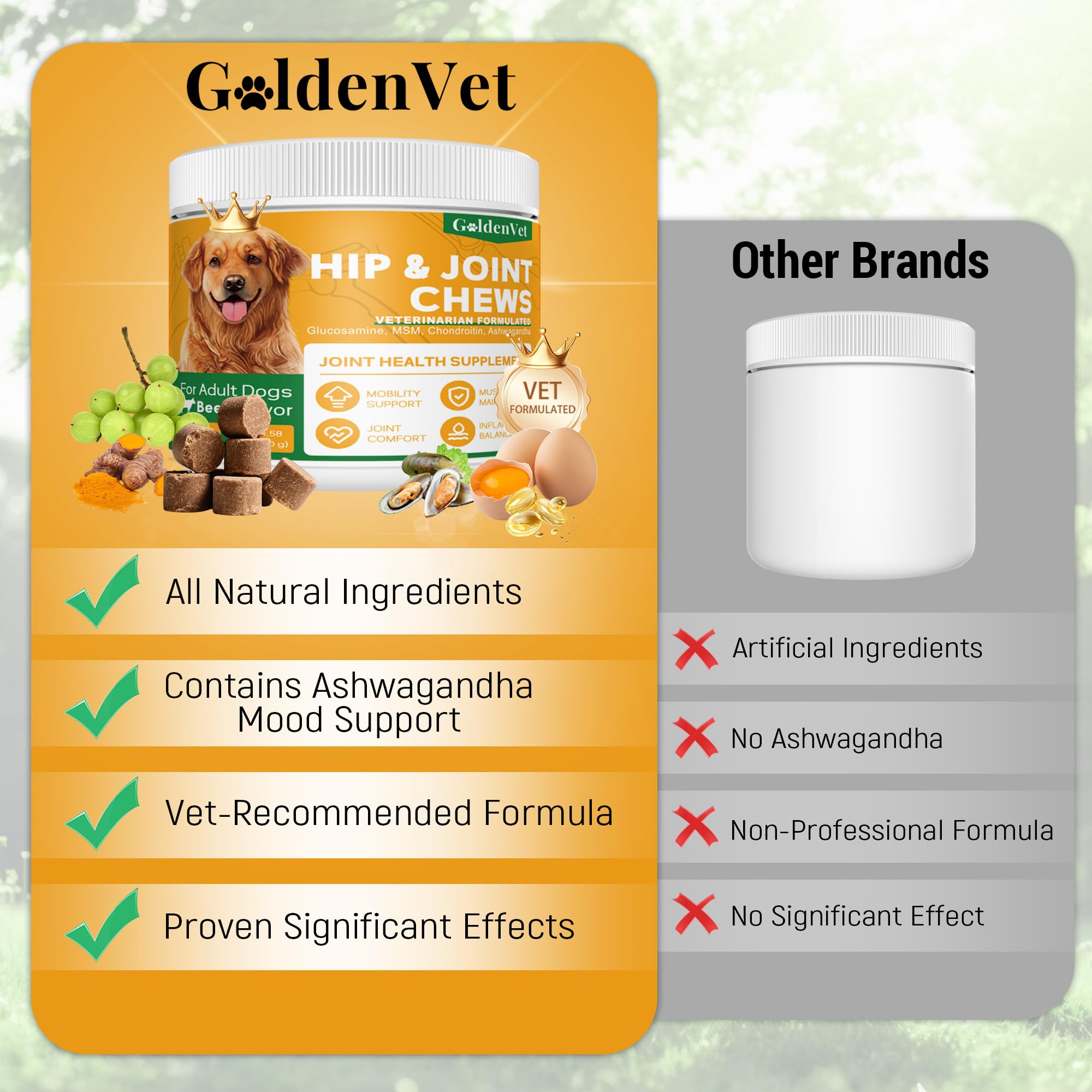 Acide hyaluronique et chondroïtine GOLDENVET, favoris potentiels de la souplesse.