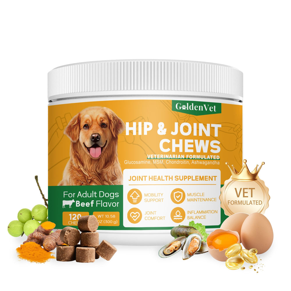 GOLDENVET friandises articulations pour chien senior, soutien potentiel à la mobilité.